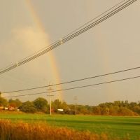 Mikalan Roofing Inc ico