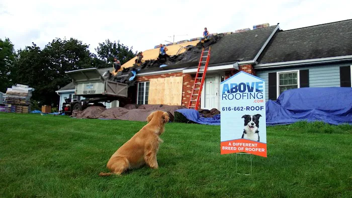 Above Roofing Picture 10