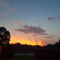 Plumbline Roofing ico