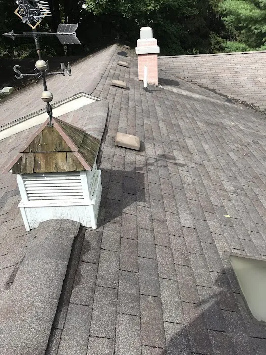 Action Exteriors Picture 5