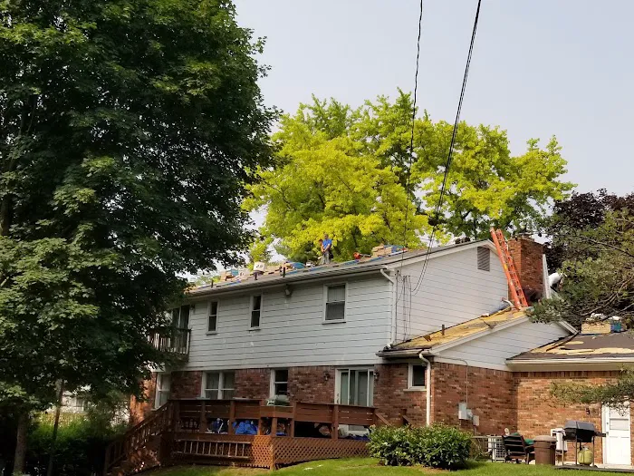 Metro Detroit Roofs LLC Picture 6