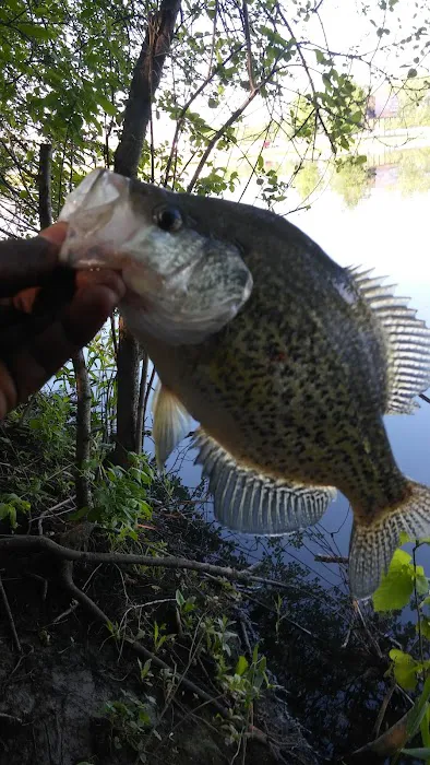 Beyer Roofing Co Picture 2