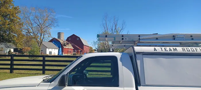 RICKEY THE ROCK N ROLL ROOFER ! Picture 2