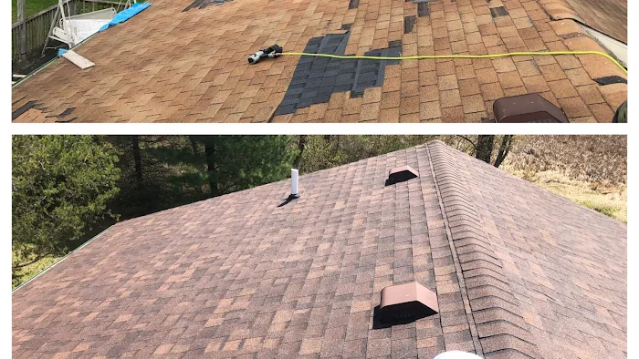 Chaotic 7 Roofers Picture 3