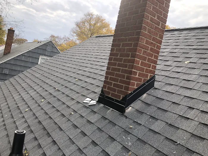 Chaotic 7 Roofers Picture 7