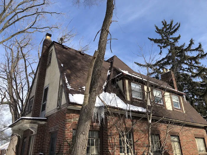 Chaotic 7 Roofers Picture 6