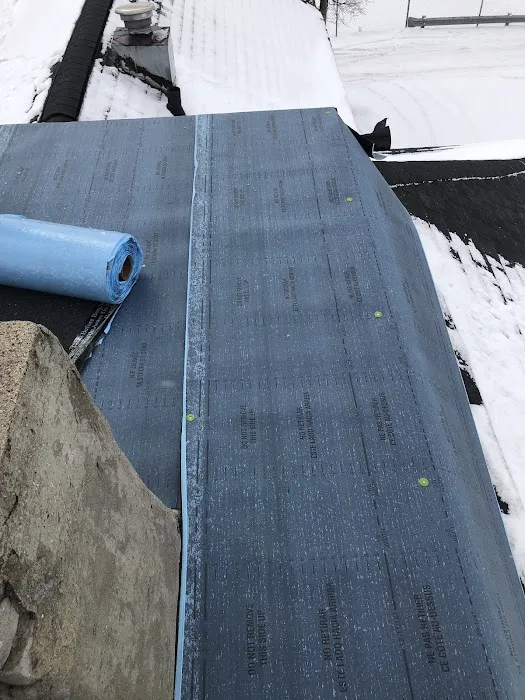 Chaotic 7 Roofers Picture 10