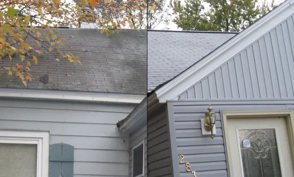 Rasmussen Exteriors Picture 7