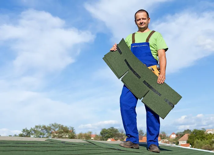 Professional Roofing Experts Picture 5