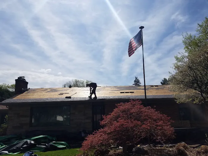 Polish Roofing LLC Picture 6