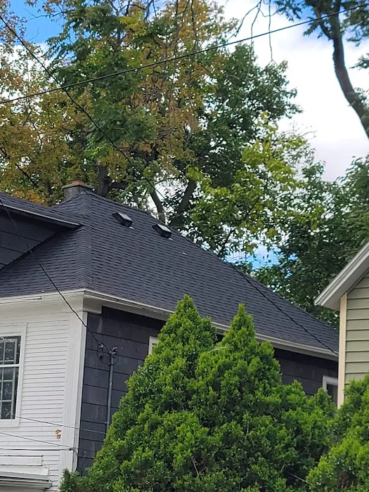 Melvin Belk Roofing Picture 6