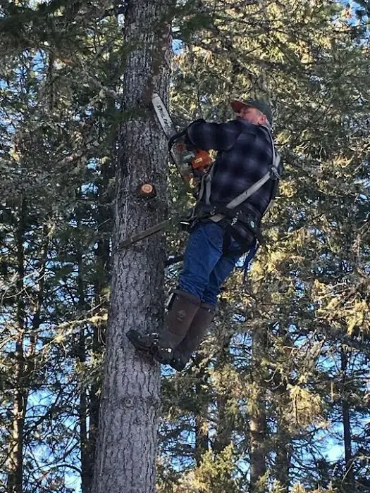 Accurate Roofing Systems LLC Picture 10