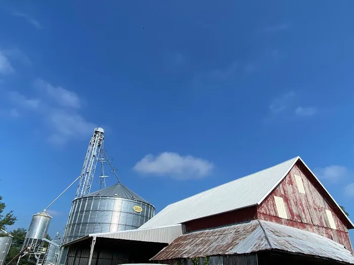 Loy-Quinn Roofing Picture 6