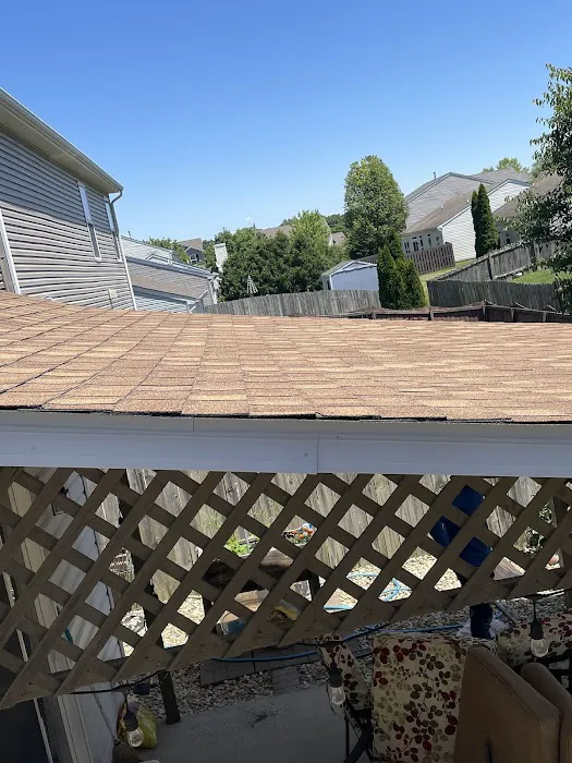 Discount Roof Picture 5