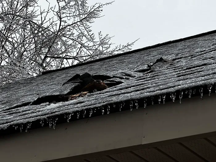 Bay City Roof Repair, LLC Picture 4