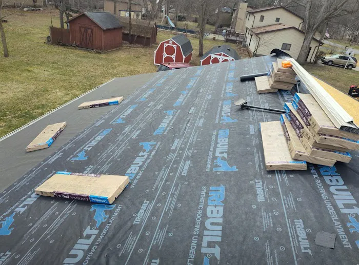 Roof Trend Picture 3