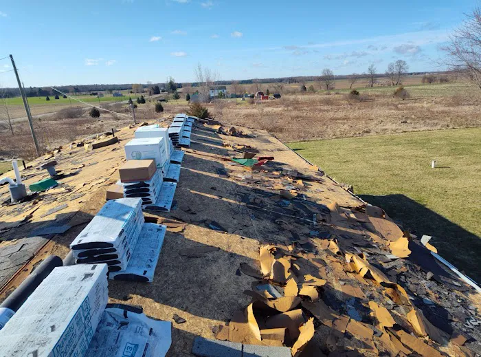 Roof Trend Picture 4