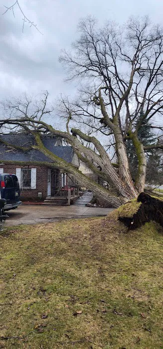 Chad Moody Building & Remodeling LLC Picture 10