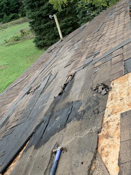 Stearns & Co. LLC Picture 10