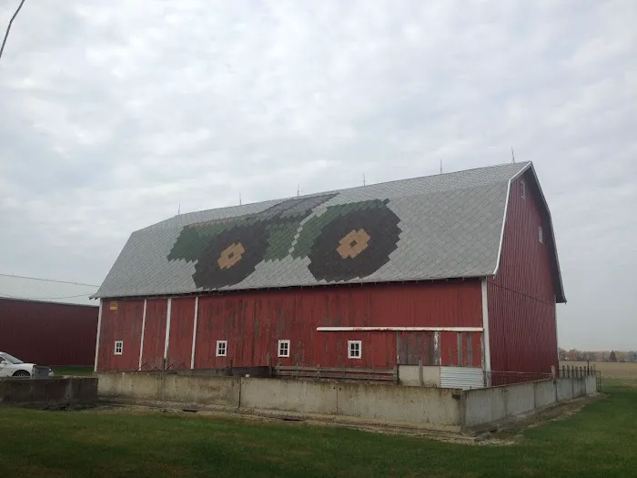 Sherriff Goslin Roofing Marion Picture 5