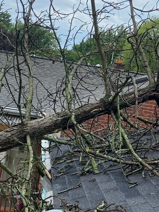 DiMar Contracting Inc. Picture 2