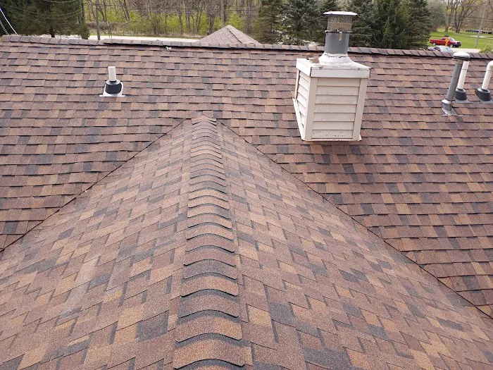 Bruised thumb roofing &repairs llc Picture 2