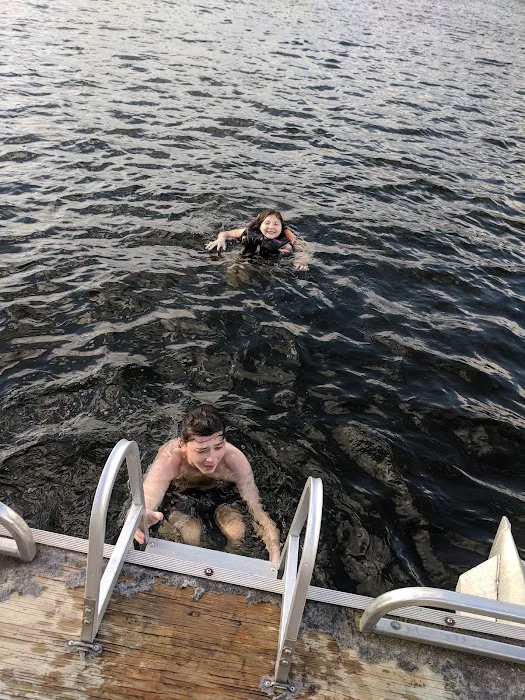 Modern Steel Roofing Picture 1