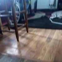 M&L construction ico