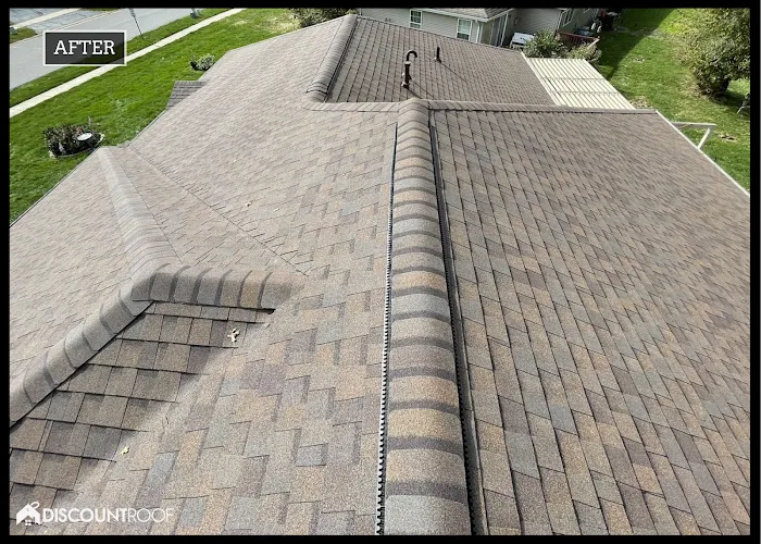 Discount Roof Picture 3