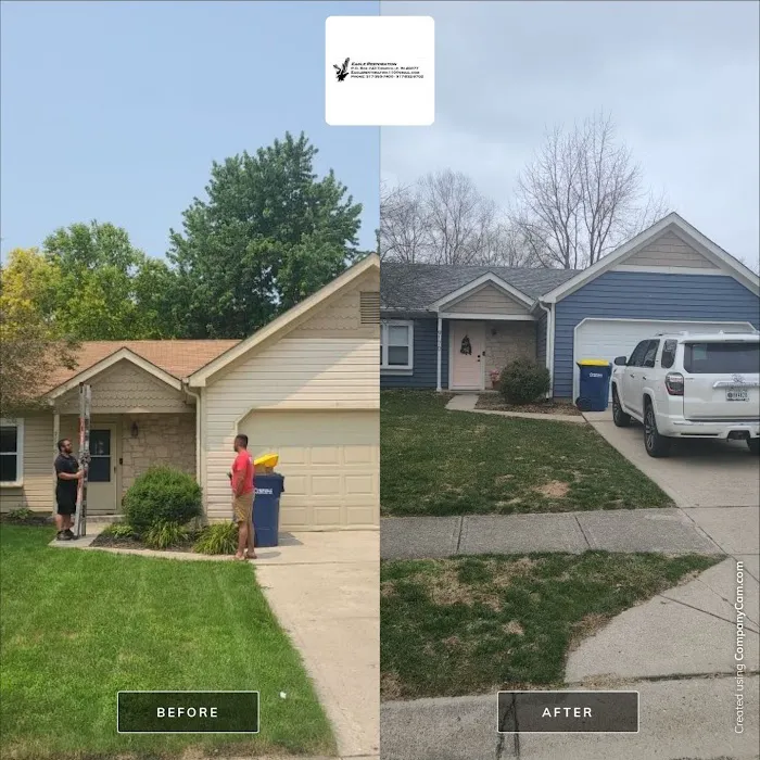 Eagle Restoration Picture 1