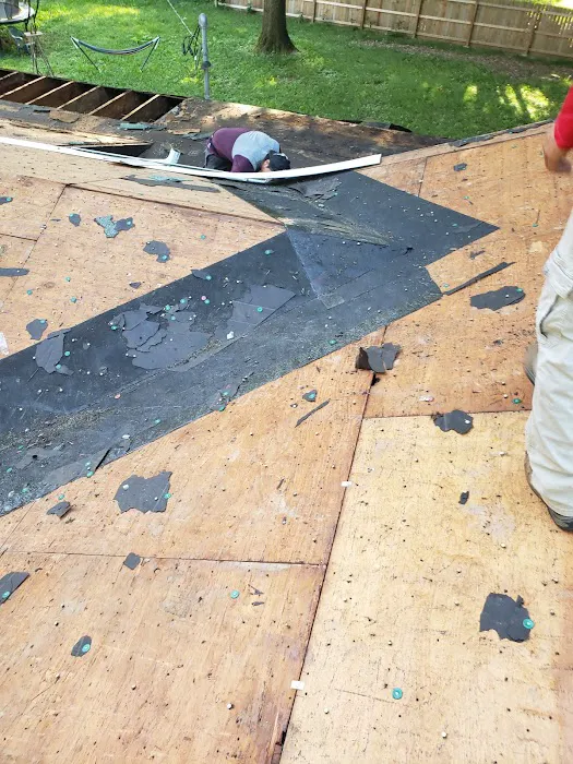 Eagle Restoration Picture 5