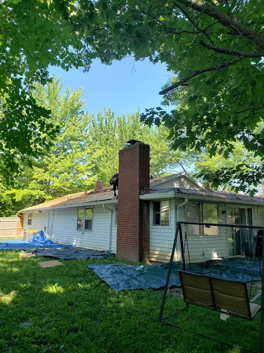 Eagle Restoration Picture 6