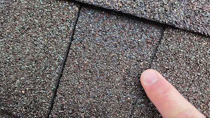 Eagle Restoration Picture 4