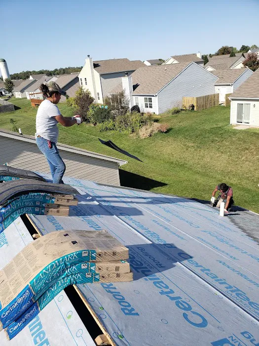 Eagle Restoration Picture 8