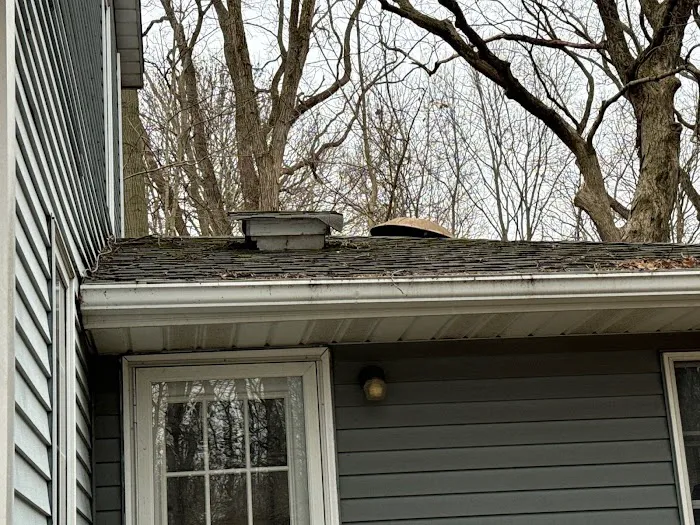 Eagle Restoration Picture 10