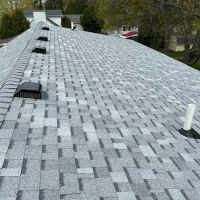 Chipmunks Roofing & Construction ico