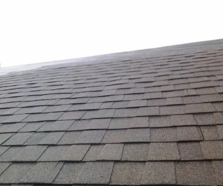 Capital Construction