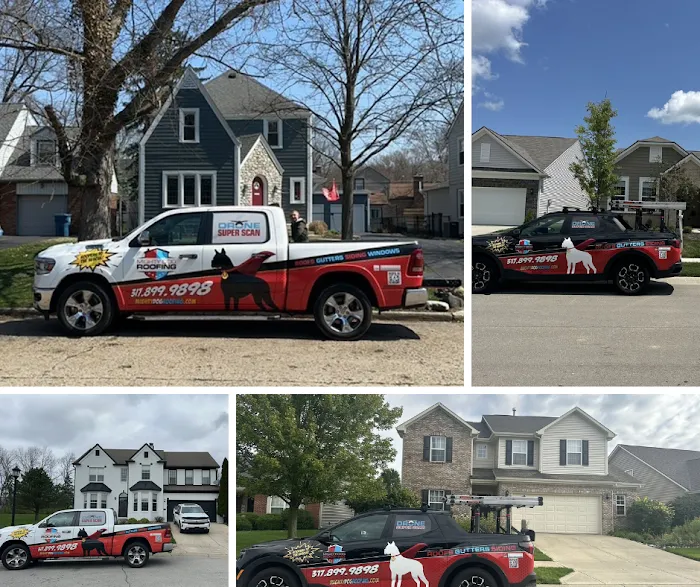 Mighty Dog Roofing Indianapolis Picture 3