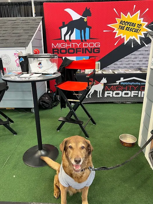 Mighty Dog Roofing Indianapolis Picture 6