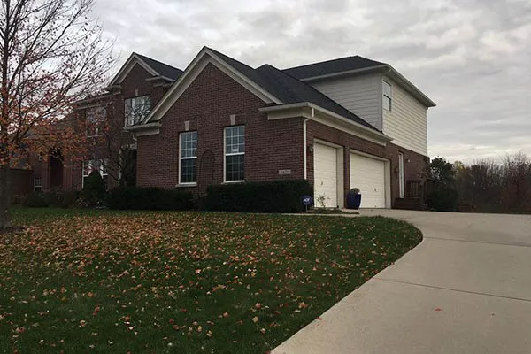 Moss Roofing Picture 2