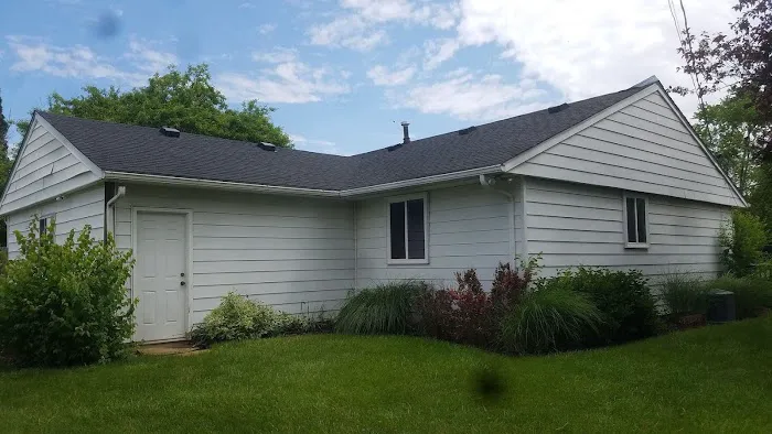 Moss Roofing Picture 1