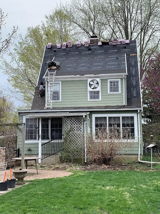 Moss Roofing Picture 5