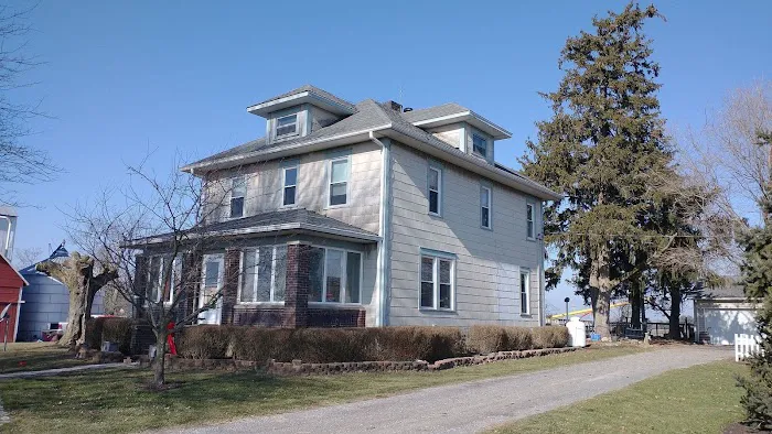 Moss Roofing Picture 10