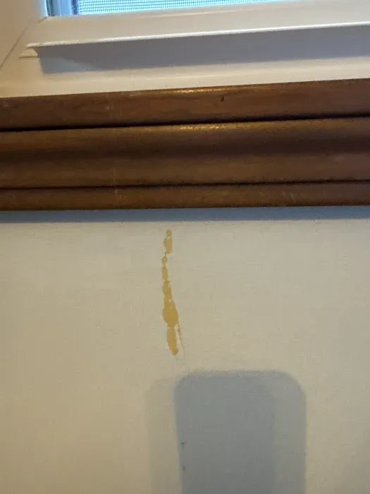 REED Roofing Picture 5