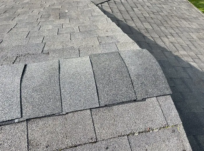 Bone Dry Roofing Picture 4