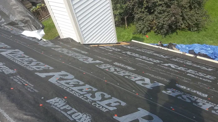 Carmel Roofs Picture 3