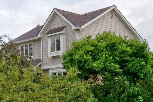 Rose Roofing Picture 7