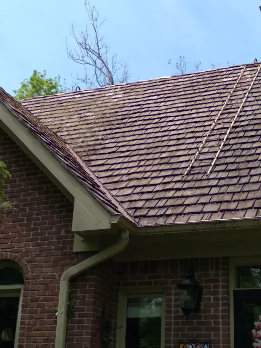 Cedar Savers Picture 1