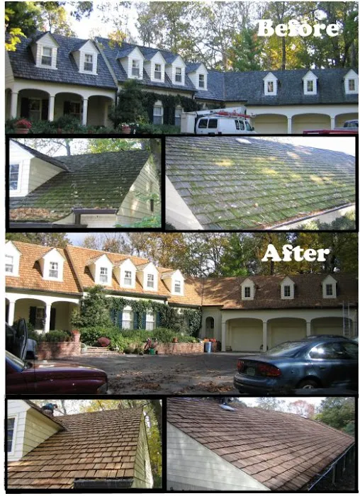 Cedar Savers Picture 7