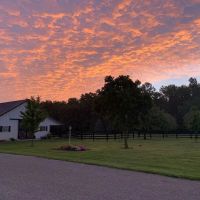 New Look Exterior Inc ico